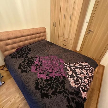 Irina Centre Apartment بودغوريتْسا المظهر الخارجي الصورة