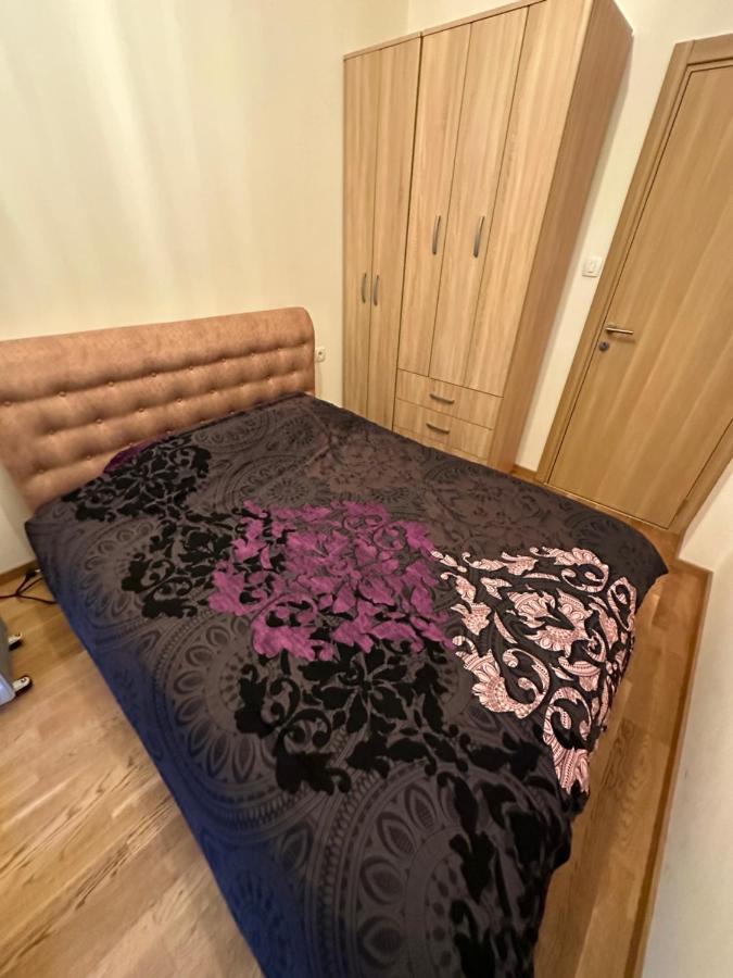 Irina Centre Apartment بودغوريتْسا المظهر الخارجي الصورة