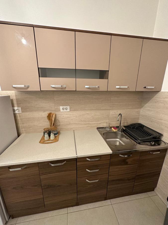 Irina Centre Apartment بودغوريتْسا المظهر الخارجي الصورة